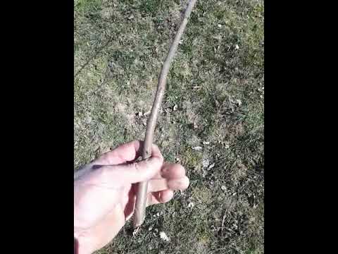 rezidba orezivanje jabuke