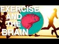 WHY Exercise is so Underrated (Brain Power & Movem...