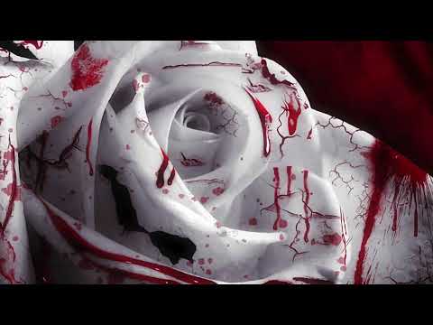 CRISTIAN CORONA - RIDEDIE (Original Audio)