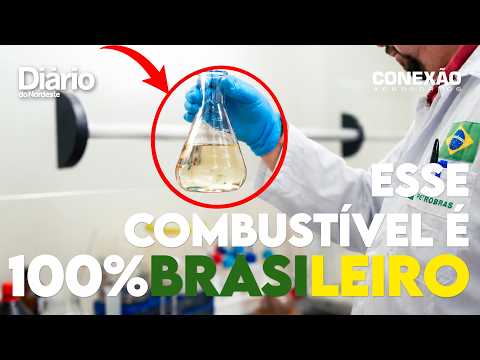 Conexão Aeroportos: o que é o SAF, o combustível que pode ajudar a descarbonizar a aviação?