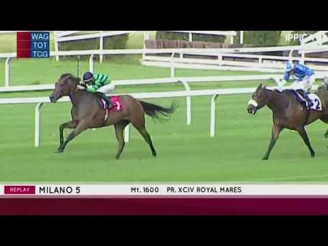 2022.06.05  Premio Xcii Royal Mares (ITA) - Aria Importante