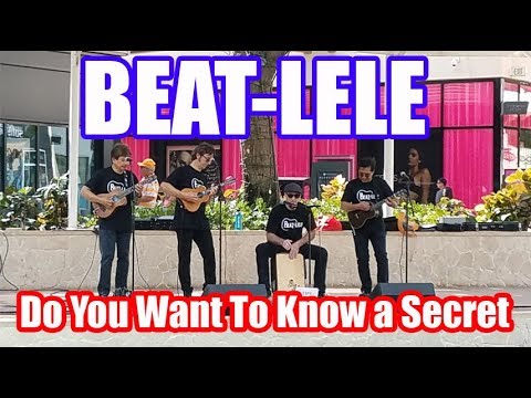 Do You Want To Know a Secret by The Beatles - Beat-lele