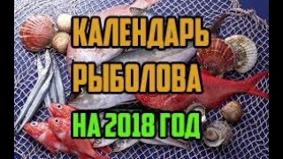 Рыбалка на лебяжке в марте месяце