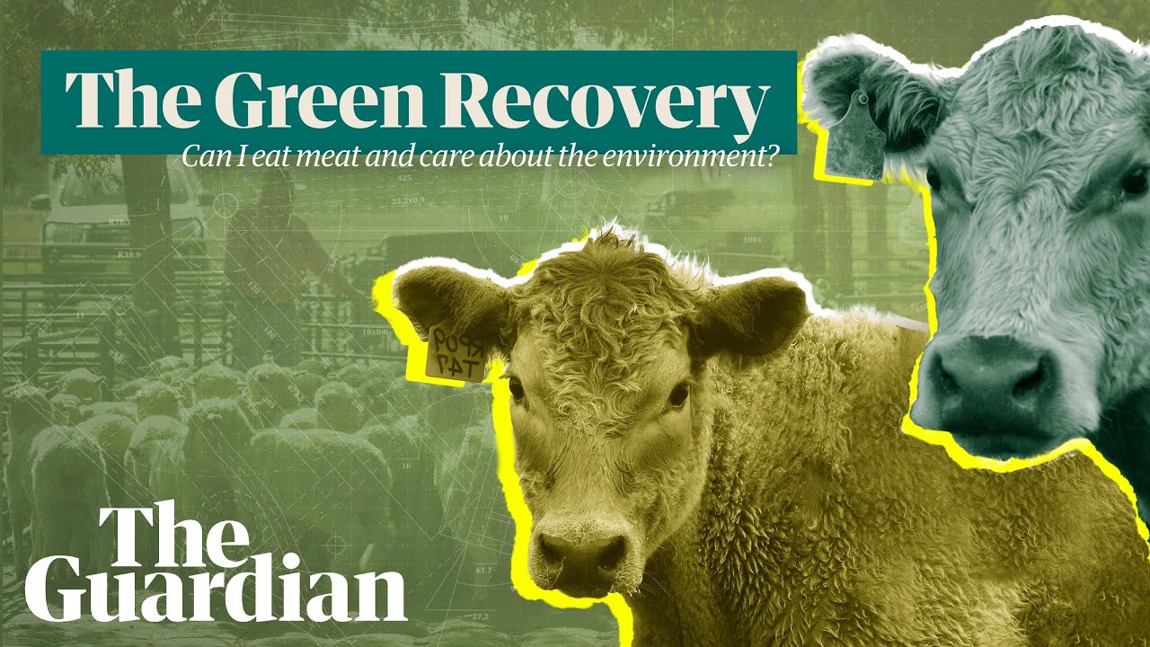 The Green Recovery: can I still eat meat if I care about the environment?