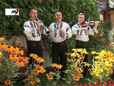 Fraţii Reuţ - O văzut mirele o floare 2012