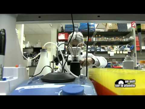 pourquoi la russie joue l'euro