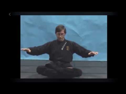 Nine Minutes Of Pure Bullshido