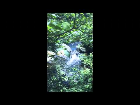 Kettlebrook Lofts Unit 204