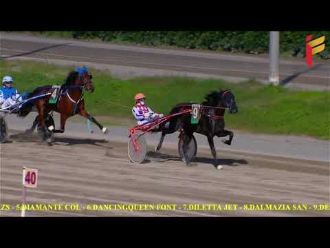 I Corsa del 19 novembre 2021 - 2 Anni - Metri 1600