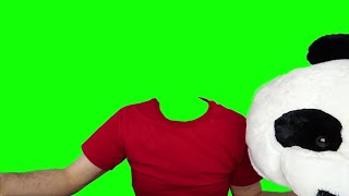 Nikocado Avocado green screen