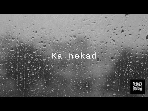 Pienvedēja Piedzīvojumi - "Kā nekad" (Teksta video)