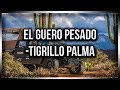 Tigrillo Palma | El Guero Pesado | Letra