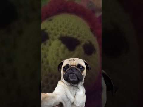 5 de diciembre de 2025