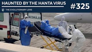 Download lagu Haunted by the Hanta Virus: The 325th Evolutionary Lens with Bret Weinstein and Heather Heying mp3 Download lagu Haunted by the Hanta Virus: The 325th Evolutionary Lens with Bret Weinstein and Heather Heying mp3