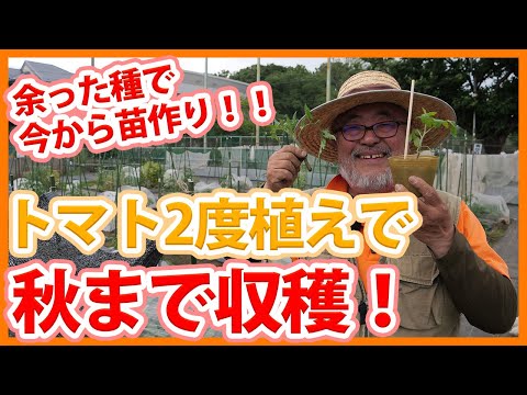 木灰の利点は何ですか