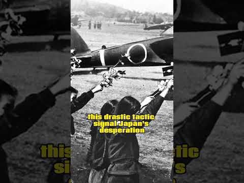 Kamikaze pilots get first major order