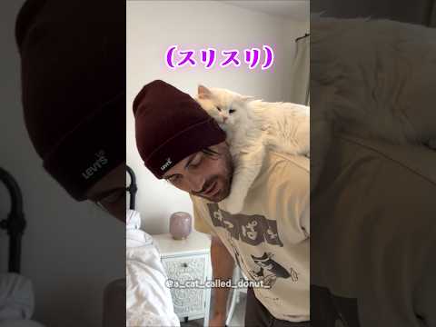 耳の聞こえない猫と暮らすということ