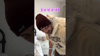 耳の聞こえない猫と暮らすということ