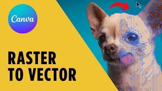 Make Vector Graphics From Images in Canva – Step-by-Step Tutorial