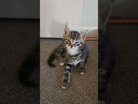 this morning when  ... .