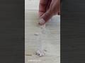 Parke Boşluğu Doldurma Arası Açılmış Laminant Parke Tamiri Parke Tamir