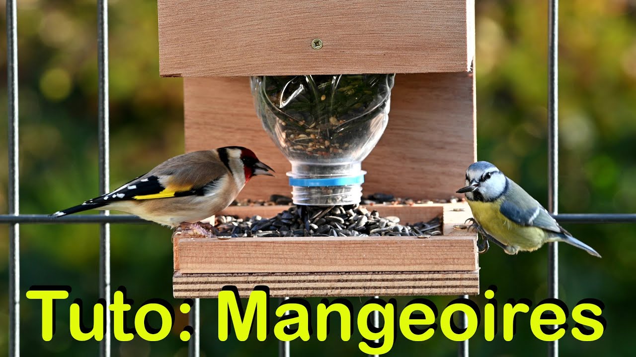 Tuto: Fabriquer une mangeoire et un distributeur de graines pour les oiseaux de votre jardin.