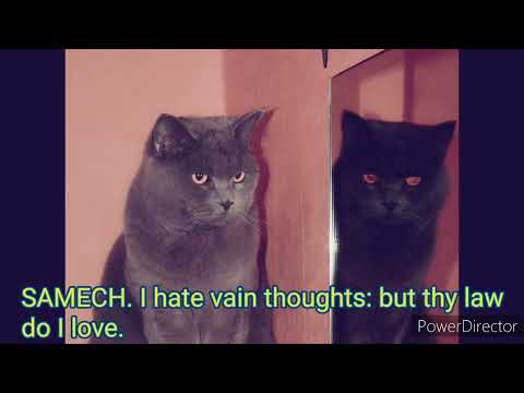 Psalm 119:113-120 Samech