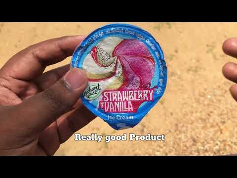 Elephant House Strawberry and Vanilla Ice Cream Cup Review