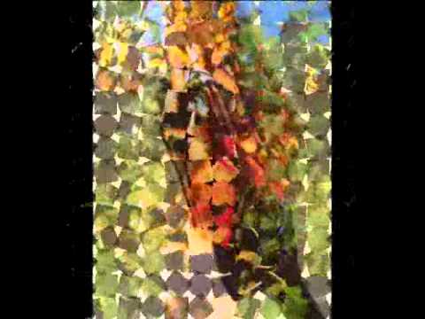 T-Killah feat. Лоя - Вернись (DJ Zelensky Remix)