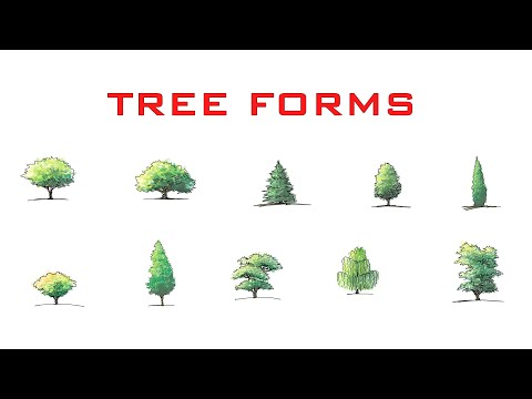 HOW TO SKETCH TREE FORMS - Concepts App Tips - iPad Pro