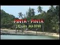 Alan Dhany Sitepu Pinta Pinta Official Music Video