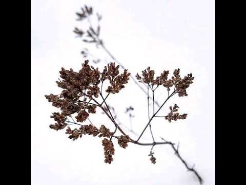 Kova • Abbadona (Rap Uruguayo)