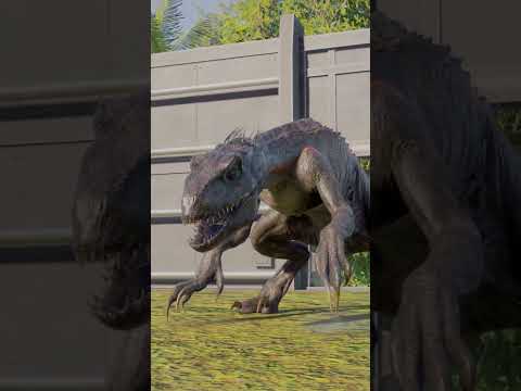 Megaraptor vs Indoraptor. #jurassicpark #jurassicworld #indoraptor #megaraptor