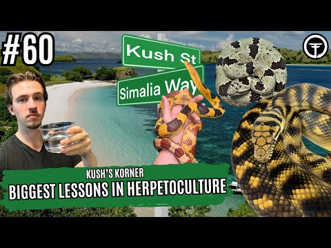 The BIGGEST Mistakes I've Made In Herpetoculture | Kush's Korner Ep.60