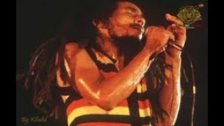 Ambush In The Night - BOB MARLEY &amp; T. W. (SUNSPLASH II - 1979) Montego Bay Jamaica