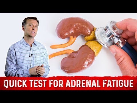 Adrenal Body Type Seminar by Dr Eric Berg