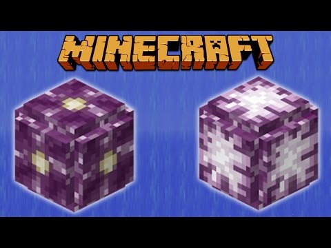 Chorus Farming Layout Efficiency [Minecraft Myth Busting 102]