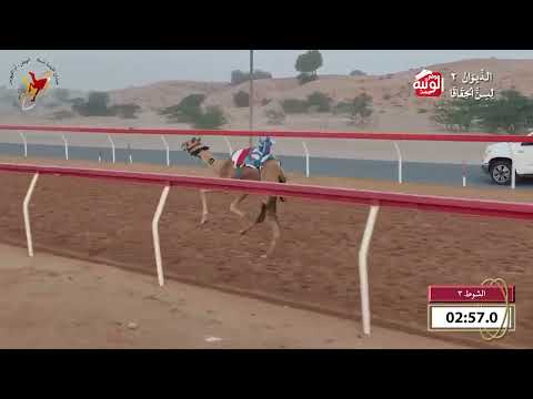  ش 3 (مقلوعه) لـ سيف محمد بن شمال الغفلي 4:40 , شارة الديوان 2 2026/09/25 حقايق اللبسه  