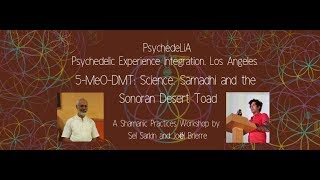 5-MeO-DMT: Science, Samadhi and the Sonoran Desert Toad