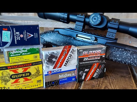 Bergara BXR (semi-auto) - AMMO TEST