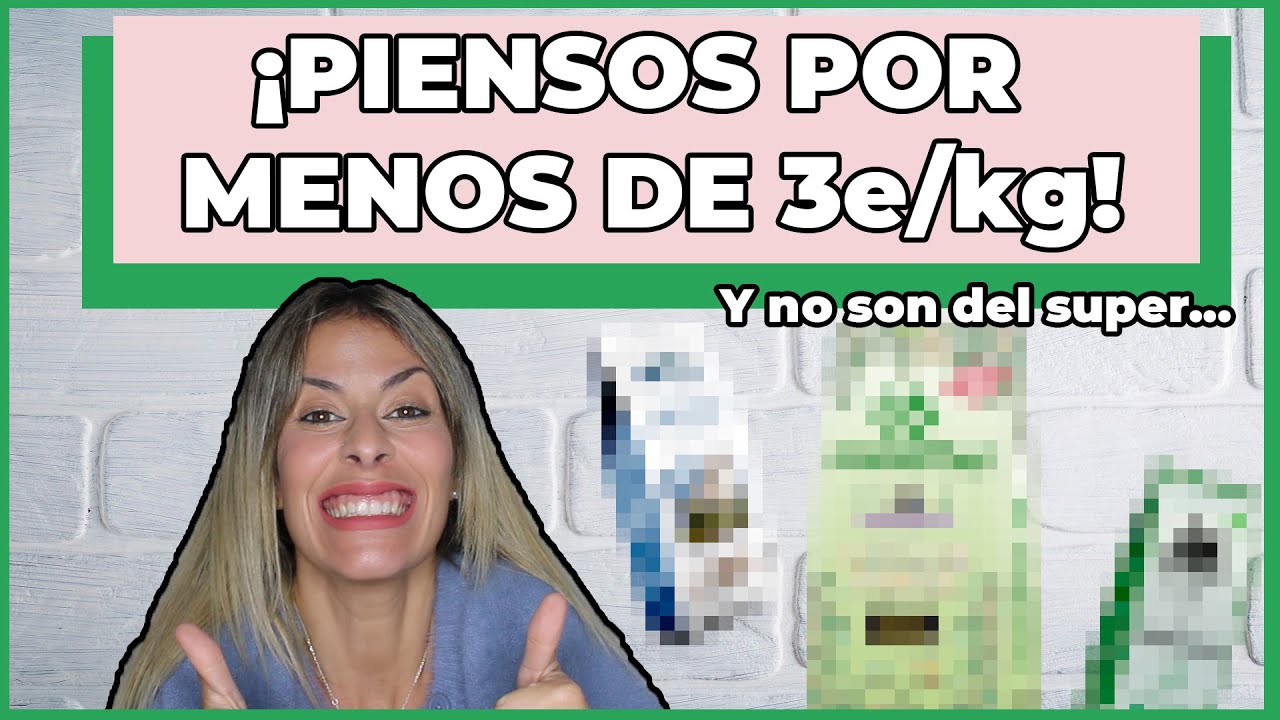 PIENSOS PARA PERROS BARATOS Y DE CALIDAD👌 | ¡Y también de GATOS!😻