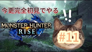 ［ライズ］上位クエまであと少し