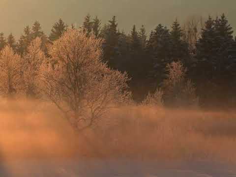 M-Eject - Dub Techno Blog Guest Mix 🇺🇦 [Dub Techno/Atmo]