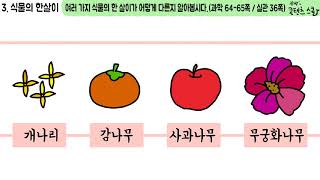 과학 4학년 1학기 3단원 9차시 영상(64-65p)