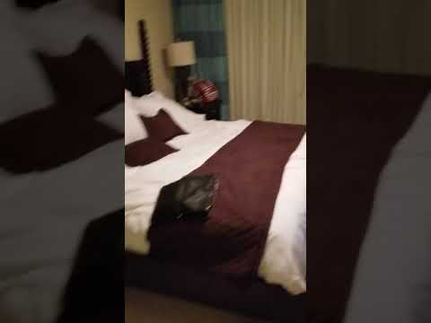 Hotel Accommodations!