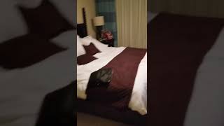 Hotel Accommodations!