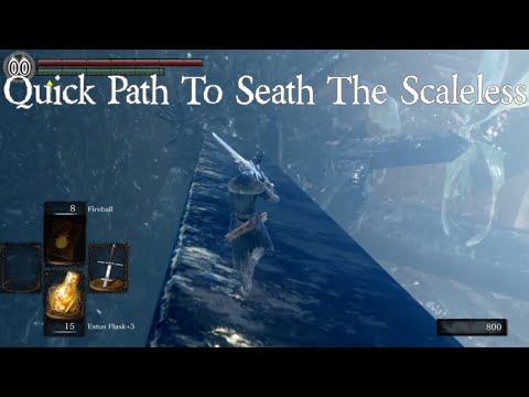 Quick Path To Seath The Scaleless - Duke's Archives & Crystal Caves DARK SOULS REMASTERED