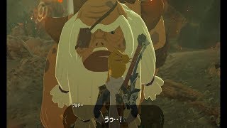 【実況】方向音痴が駆ける！【ゼルダの伝説ブレスオブザワイルド】＃31