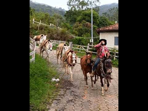 Tropeiro em Delfim Moreira