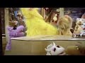 Sesame Street Sing Hoot And Howl Quiet